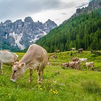 Val Venegia