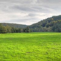 Grünes Moosalbtal