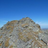 Waldhorn