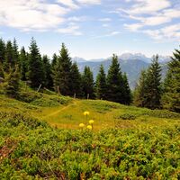 Das Farbenspiel im Gebirge...