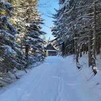 4.5 km Wir erreichen die Unterbergalm