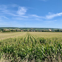 Groß-Schweinbarth, Hohlwegrunde