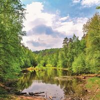 Der Ungeheuersee - Naturdenkmal mitten im Wald, über das man sich viele Geschichten erzählt.