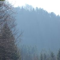 Rückblick zur "Grüntalkogelhütte"