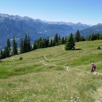 Fisser Joch - Frommes - Kuh Alm - Fiss