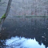 Landschaftsweiher im Hodenbachtal