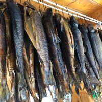 Geräucherte Fische
