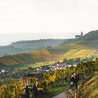 Am Württembergischen Weinwanderweg im Zabergäu | Brackenheim-Neipperg | HeilbronnerLand