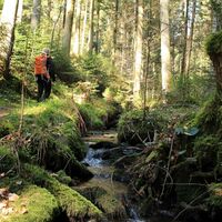 Im Rötelbachtal