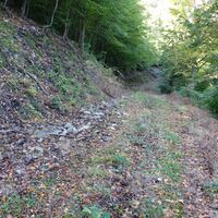 Aufstiegsweg Sommerau