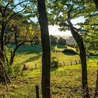 Landschaftsblick in den Vogler