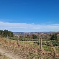 Impression Wanderung am Vogelsang bei Meschede