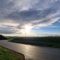Albrunde