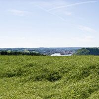 Freinberg