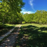 Maquis-Weg