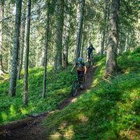 Mountainbiking auf dem Buckelwald Trail
