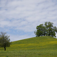 Drumlin beim Martinsweiher