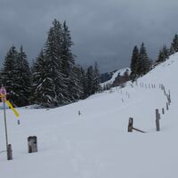 Scheeschuhtrail-Riggisalp