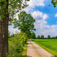Ein befestigter Wegschnitt auf dem NORDPFAD Riepholm-Gilkenheide