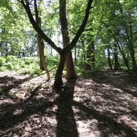 Wanderung entlang der Queichlinie Westschleife