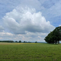 Feld bei Medingen