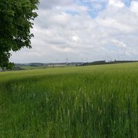 Von Seubtendorf zur Kiebitzenburg