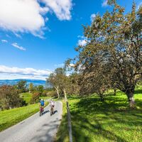 Montenbiken im Lavanttal