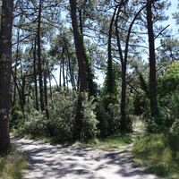 Soulacaise Sud@medoc-atlantique-tourisme_0457