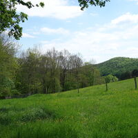 Aufstieg zum "Kleinen Marchberg"