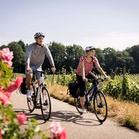 Auf dem Weinradweg im Breisgau