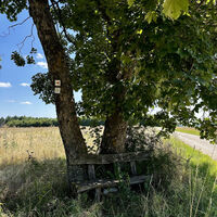 Entlang des Weges
