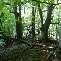 Gipfel Wittenbachberg