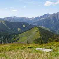 der Weg zum Triebenfeldkogel ist noch ein Stück...