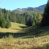 Rückweg entlang B21