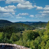 Trifelsblick von Neuscharfeneck