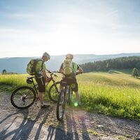 Mountainbikes