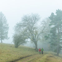 Mystische Stimmung in der Schönecker Schweiz