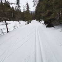 Unterwegs auf der Loipe Fadental - Schnittlermoos