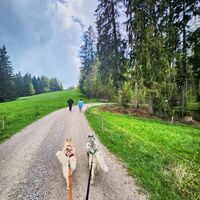 Wanderung Oberwarngau Taubenberg
