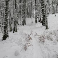 Aufstieg auf das Hennesteck