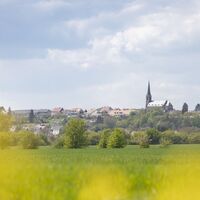 Blick auf Biesingen