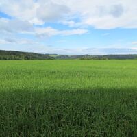 Aussicht auf den Höhen von Calw