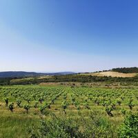 Agel - Cazelles (6)