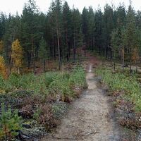 Waldweg, Nissinvaara-Route