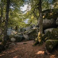 Günterfelsen