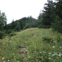 am Weg zum Gipfel "Kleiner Ötscher"