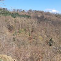 Hochblick zum Forsthaus Rehstein