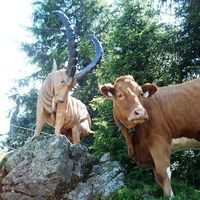 Steinbock mit Kuh