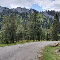 34.0 km Blick auf Predigstuhl