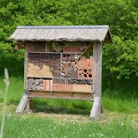 Insektenhotel auf dem BUND-Waldhaus-Gelände Altenhagen bei Salzgitter-Lichtenberg